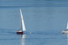 DSC07351
