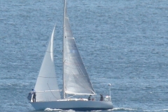 DSC05541