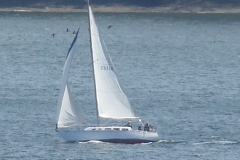 DSC05552