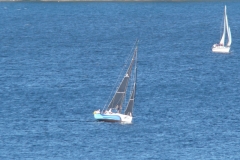 DSC07321