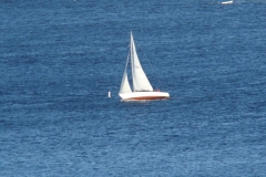 DSC07333