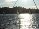 DSCN2521.jpg