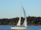 DSCN2531.jpg