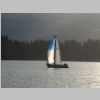 DSC04713.JPG
