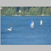 DSC04910.JPG