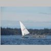 DSCN5940.JPG