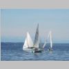 DSCN5982.JPG