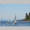 DSCN5983.JPG