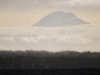 Duwamish Head Race