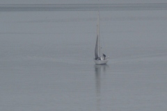 Eld Inlet Race 2021