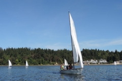 DSCN5951