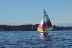 DSCN5963