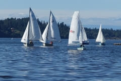 DSC04050