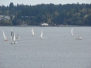 Fall Series Race 4 by Dan O'Brien