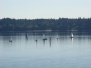 Maclean Race, 7/8/2017 by Dan O'Brien