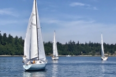 fmac17005
