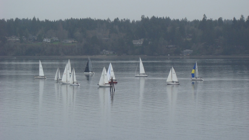 DSC07865