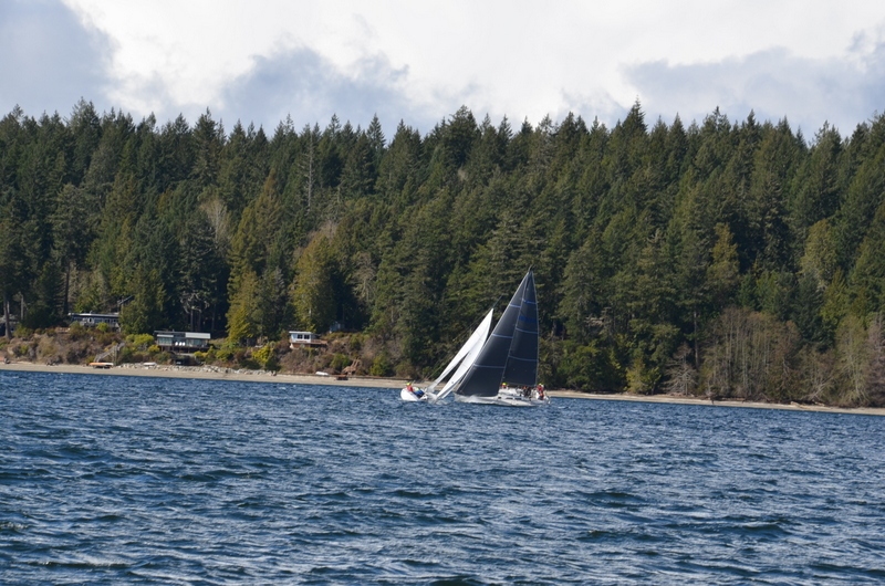 DSC_0181