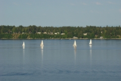 DSC07261