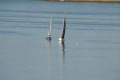DSC07280