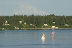 DSC07290