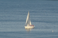 DSC07312