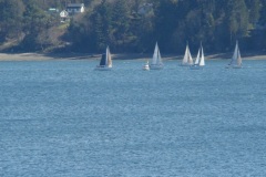 DSC07906