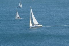 DSC07919