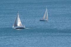 DSC07941