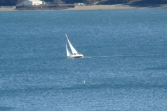 DSC07956