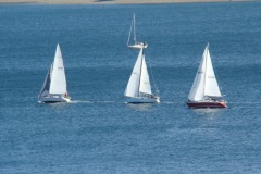 DSC07958