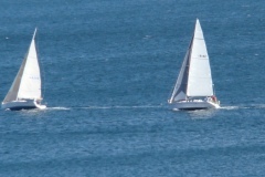 DSC07963