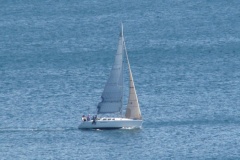 DSC07967