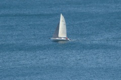 DSC07979