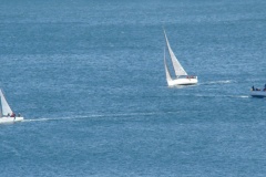 DSC07985