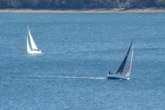 DSC07986