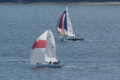 DSC05542
