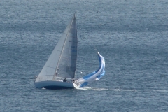 DSC05547