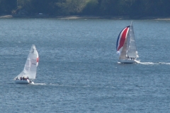 DSC05548