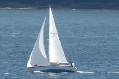 DSC05551