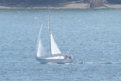 DSC05553