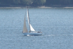 DSC05554