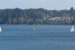 DSC05556