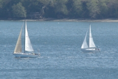DSC05559