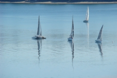 DSC05650