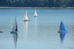 DSC05655
