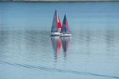 DSC05656