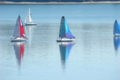 DSC05662