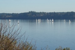 Squaxin Island Race