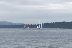 Squaxin Island Race 2019